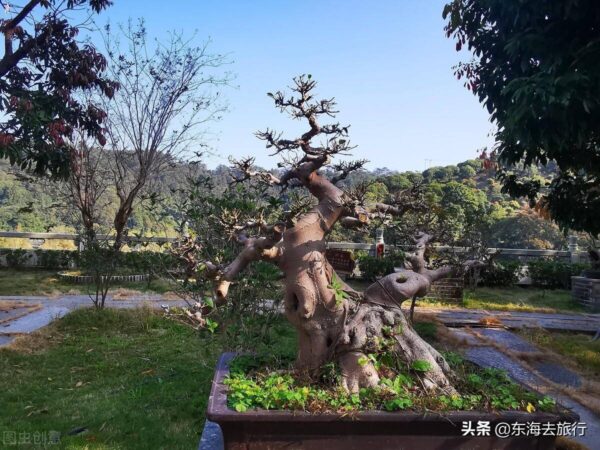 广东云浮最值得去的景点有哪些(云浮市旅游景点排名)-1 广东云浮最值得去的景点有哪些,云浮市旅游景点排名(附2022年最新排行榜前十名单)