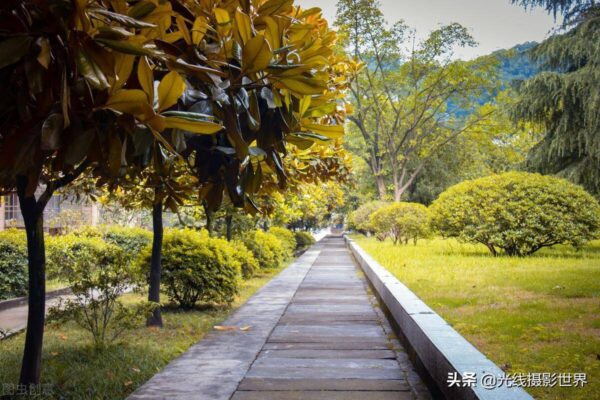重庆邮电大学排名全国第几(重庆邮电大学怎么样?就业前景)-1 重庆邮电大学排名全国第几,重庆邮电大学怎么样?就业前景(附2022年最新排行榜前十名单)
