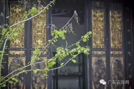 广东最美村落排行榜,广东揭阳十大最美古村落(附2022年最新排行榜前十名单)