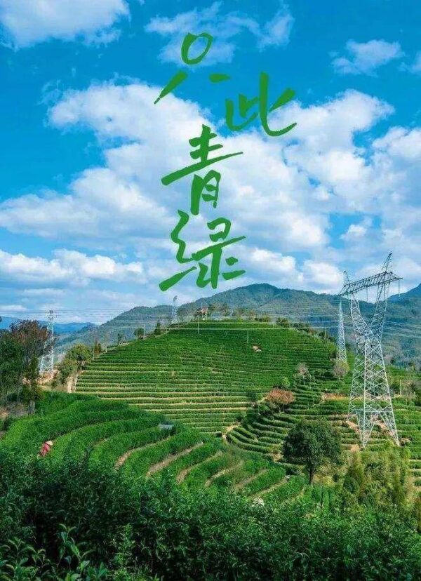 赣南采茶戏最早出现于江西省赣州市的哪里-1 赣南采茶戏最早出现于江西省赣州市的哪里(附2022年最新排行榜前十名单)