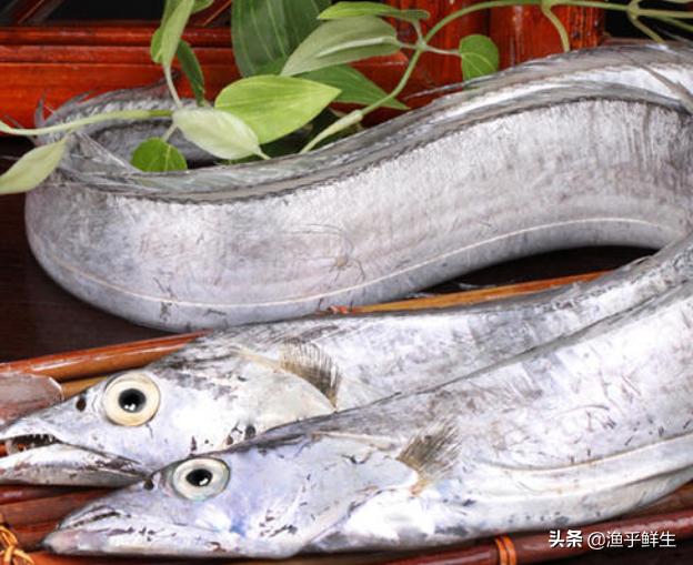 中国最大的海鲜产地有哪些,中国最大的几个海鲜出产地(附2022年最新排行榜前十名单)
