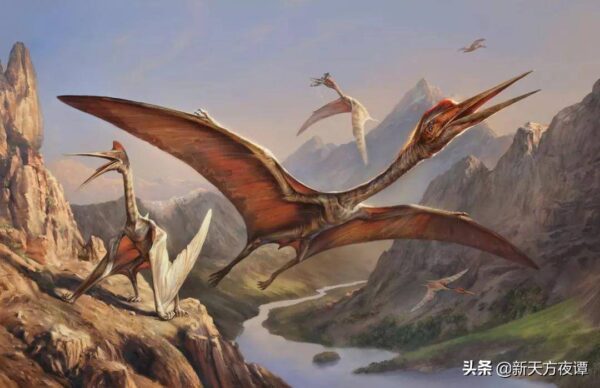 最像恐龙的生物十大之最是什么(比恐龙还可怕的十大生物)-1 最像恐龙的生物十大之最是什么,比恐龙还可怕的十大生物(附2022年最新排行榜前十名单)