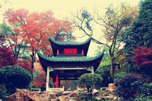 长沙哪里有吃喝玩乐的地方,湖南长沙吃喝玩乐榜(附2022年最新排行榜前十名单)