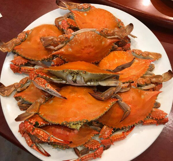 连云港有名的美食有哪些(连云港特色美食排行榜)-1 连云港有名的美食有哪些,连云港特色美食排行榜(附2022年最新排行榜前十名单)