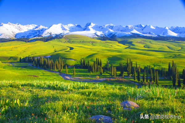 中国十大草原排名前十名(中国最美的十大草原有哪些)-1 中国十大草原排名前十名,中国最美的十大草原有哪些(附2022年最新排行榜前十名单)