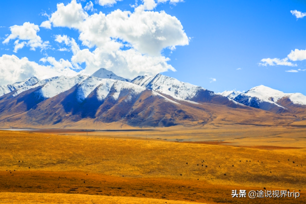 中国十大草原排名前十名(中国最美的十大草原有哪些)-1 中国十大草原排名前十名,中国最美的十大草原有哪些(附2022年最新排行榜前十名单)