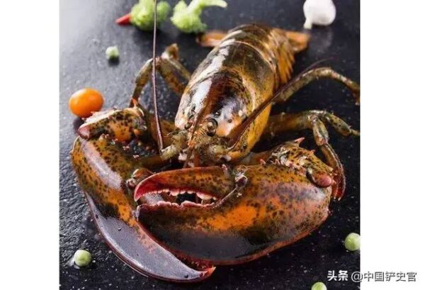 世界七大顶级的龙虾品种是什么(世界顶级龙虾品种有哪些)-1 世界七大顶级的龙虾品种是什么,世界顶级龙虾品种有哪些(附2022年最新排行榜前十名单)