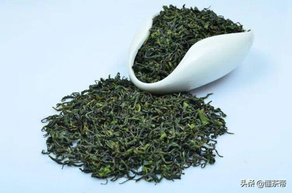山东有哪些名茶品种(山东名茶十大名茶)-1 山东有哪些名茶品种,山东名茶十大名茶(附2022年最新排行榜前十名单)