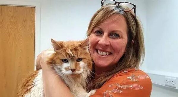 世界上最长寿的猫是多少岁(寿命最长的猫排行榜)-1 世界上最长寿的猫是多少岁,寿命最长的猫排行榜(附2022年最新排行榜前十名单)