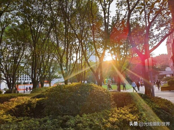 重庆邮电大学排名全国第几(重庆邮电大学怎么样?就业前景)-1 重庆邮电大学排名全国第几,重庆邮电大学怎么样?就业前景(附2022年最新排行榜前十名单)