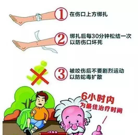 中国最毒的蛇是什么毒蛇?(中国十大毒蛇第一名)-1 中国最毒的蛇是什么毒蛇?,中国十大毒蛇第一名(附2022年最新排行榜前十名单)