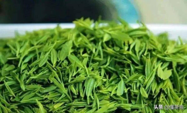 山东有哪些名茶品种(山东名茶十大名茶)-1 山东有哪些名茶品种,山东名茶十大名茶(附2022年最新排行榜前十名单)