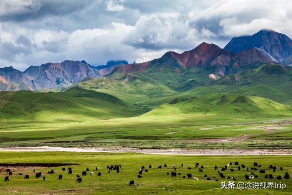 中国十大草原排名前十名(中国最美的十大草原有哪些)-1 中国十大草原排名前十名,中国最美的十大草原有哪些(附2022年最新排行榜前十名单)