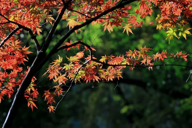 长沙哪里有吃喝玩乐的地方,湖南长沙吃喝玩乐榜(附2022年最新排行榜前十名单)