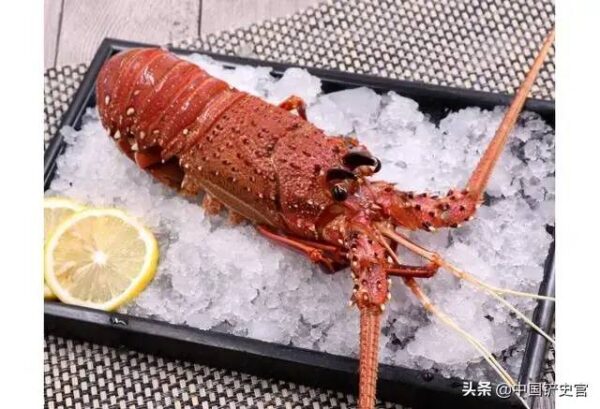 世界七大顶级的龙虾品种是什么(世界顶级龙虾品种有哪些)-1 世界七大顶级的龙虾品种是什么,世界顶级龙虾品种有哪些(附2022年最新排行榜前十名单)