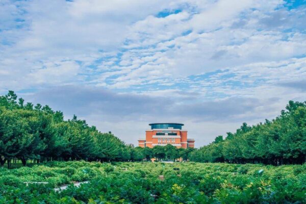 农学专业大学排行榜前十名(农业专业最好的大学有哪些)-1 农学专业大学排行榜前十名,农业专业最好的大学有哪些(附2022年最新排行榜前十名单)