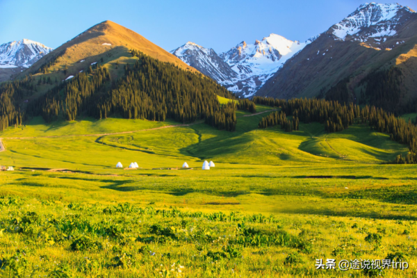 中国十大草原排名前十名(中国最美的十大草原有哪些)-1 中国十大草原排名前十名,中国最美的十大草原有哪些(附2022年最新排行榜前十名单)