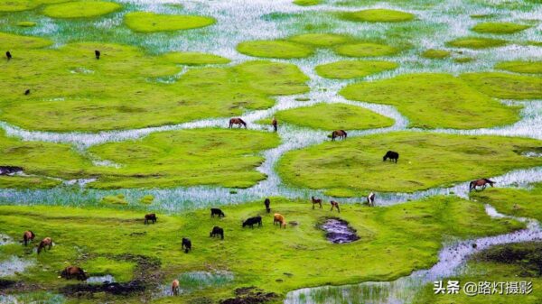 中国值得去的10个旅行地方(国内旅游必去的十大地方)-1 中国值得去的10个旅行地方,国内旅游必去的十大地方(附2022年最新排行榜前十名单)