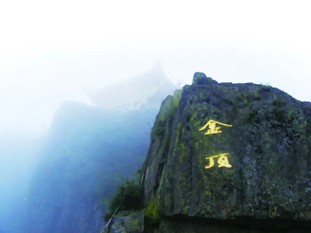 大山上的雾是怎样形成的?又是怎样消失的?(附最新排名前十榜单)