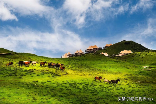 中国十大草原排名前十名(中国最美的十大草原有哪些)-1 中国十大草原排名前十名,中国最美的十大草原有哪些(附2022年最新排行榜前十名单)