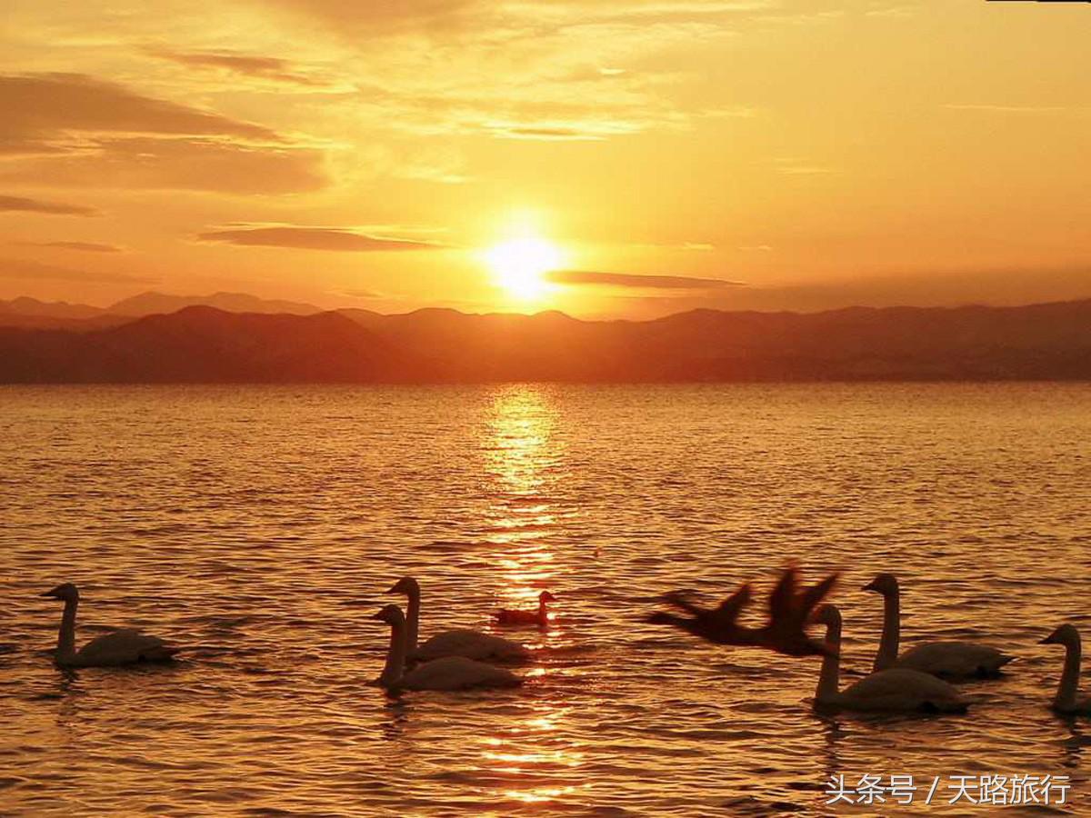 中国五大淡水湖是哪五个?面积分别是多少?(附最新排行榜前十名单)