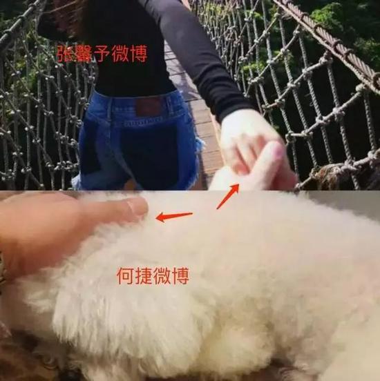 张馨予个人资料及简介,张馨予宣布嫁给曾经让她哭的男人(附2022年最新排行榜前十名单)