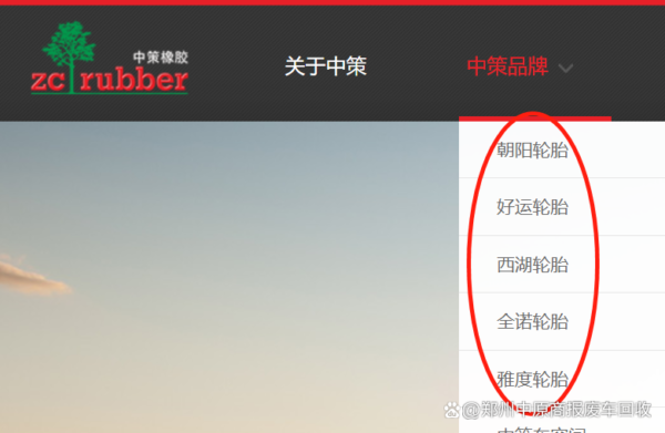 国产轮胎品牌排行榜前十名(国产轮胎品牌哪个最好)-1 国产轮胎品牌排行榜前十名,国产轮胎品牌哪个最好(附2022年最新排行榜前十名单)