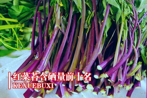 含硒多的蔬菜排行榜前十名(含硒多的蔬菜水果都有哪些)-1 含硒多的蔬菜排行榜前十名,含硒多的蔬菜水果都有哪些(附2022年最新排行榜前十名单)