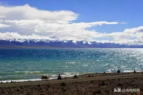中国面积最大的咸水湖是什么湖(中国十大咸水湖排名)-1 中国面积最大的咸水湖是什么湖,中国十大咸水湖排名(附2022年最新排行榜前十名单)