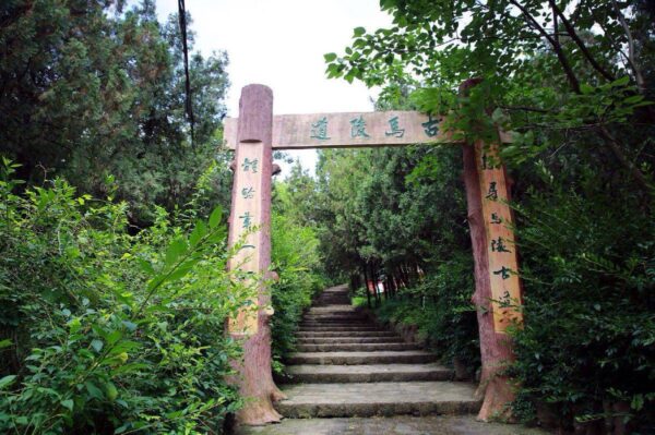 新沂市属于哪个省哪个市(新沂市人口gdp多少亿)-1 新沂市属于哪个省哪个市,新沂市人口gdp多少亿(附2022年最新排行榜前十名单)