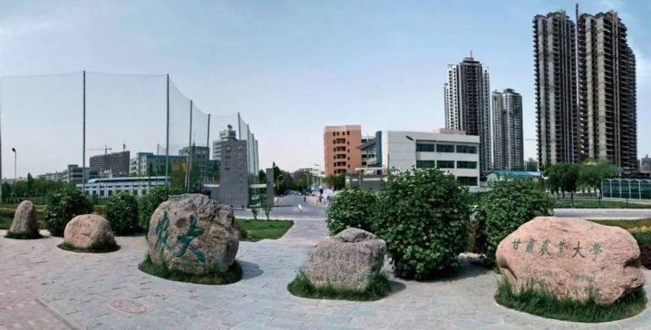 甘肃省所有大学排名一览表(2023全省高校排名TOP10介绍)插图4 甘肃省所有大学排名一览表,2023全省高校排名TOP10介绍(附2022年最新排行榜前十名单)