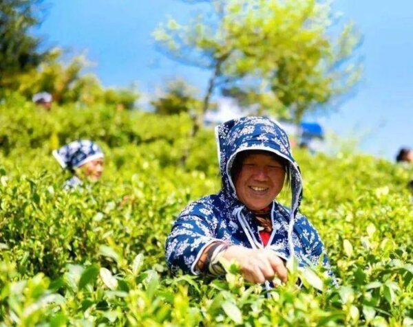 赣南采茶戏最早出现于江西省赣州市的哪里-1 赣南采茶戏最早出现于江西省赣州市的哪里(附2022年最新排行榜前十名单)
