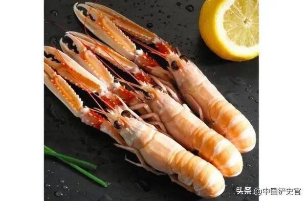 世界七大顶级的龙虾品种是什么(世界顶级龙虾品种有哪些)-1 世界七大顶级的龙虾品种是什么,世界顶级龙虾品种有哪些(附2022年最新排行榜前十名单)