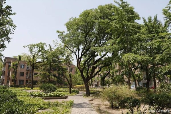 全国农林类大学最新排名(农林类大学哪个学校最好)-1 全国农林类大学最新排名,农林类大学哪个学校最好(附2022年最新排行榜前十名单)