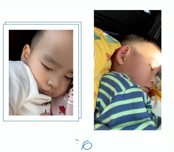 风扇灯什么牌子好,实用吗?(三款风扇灯评测告诉你如何选购)-1 风扇灯什么牌子好,实用吗?,三款风扇灯评测告诉你如何选购(附2022年最新排行榜前十名单)