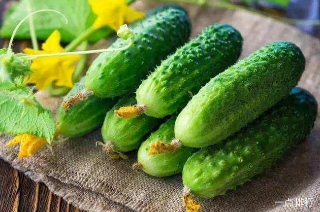黄瓜 清火的食物有哪些 十大清火食物排名(2022年最新排名前十榜单)