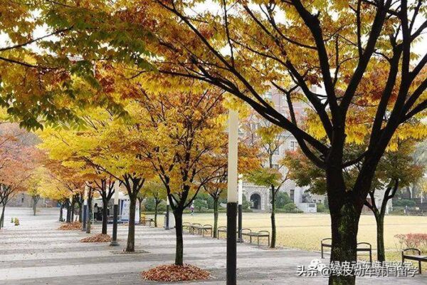 韩国大学排名前十名(韩国有名的大学有哪些)-1 韩国大学排名前十名,韩国有名的大学有哪些(附2022年最新排行榜前十名单)