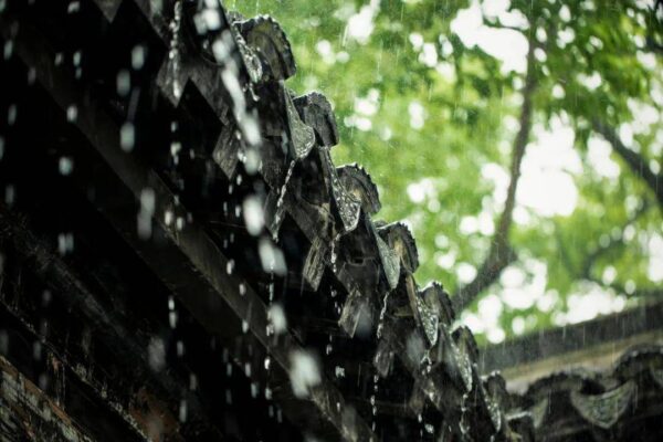 铁马冰河入梦来上一句是啥(十一月四日风雨大作其二由来概括)-1 铁马冰河入梦来上一句是啥,十一月四日风雨大作其二由来概括(附2022年最新排行榜前十名单)